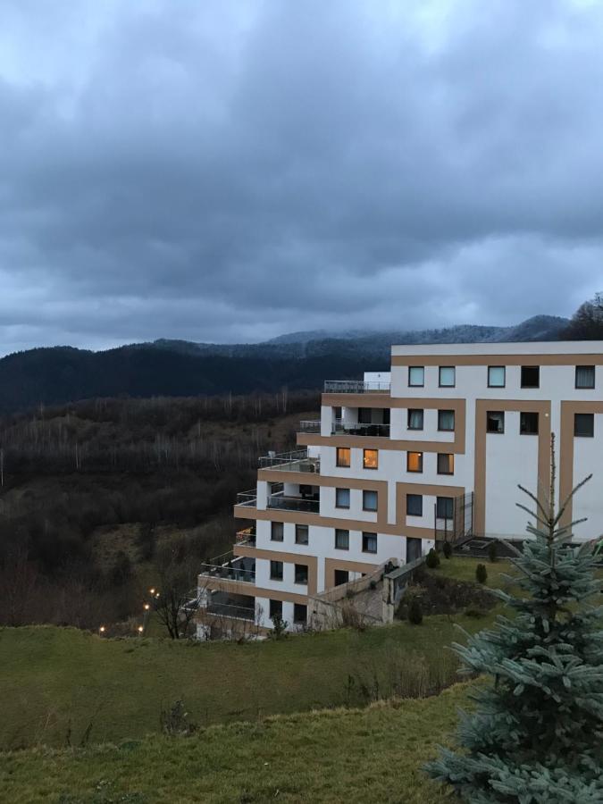 White Season Residence Braşov Eksteriør bilde